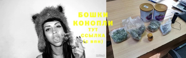 крисы Абдулино
