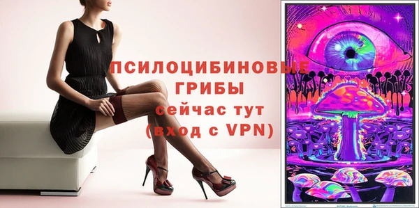 прущие грибы Абаза